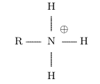 formule de Lewis ion ammonium